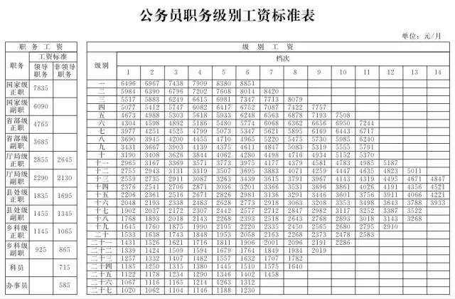 最新公务员职务职级对照表全面解析