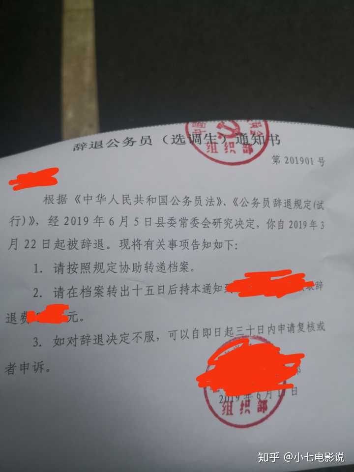 公务员妊娠期暂缓录用政策解读及其影响分析