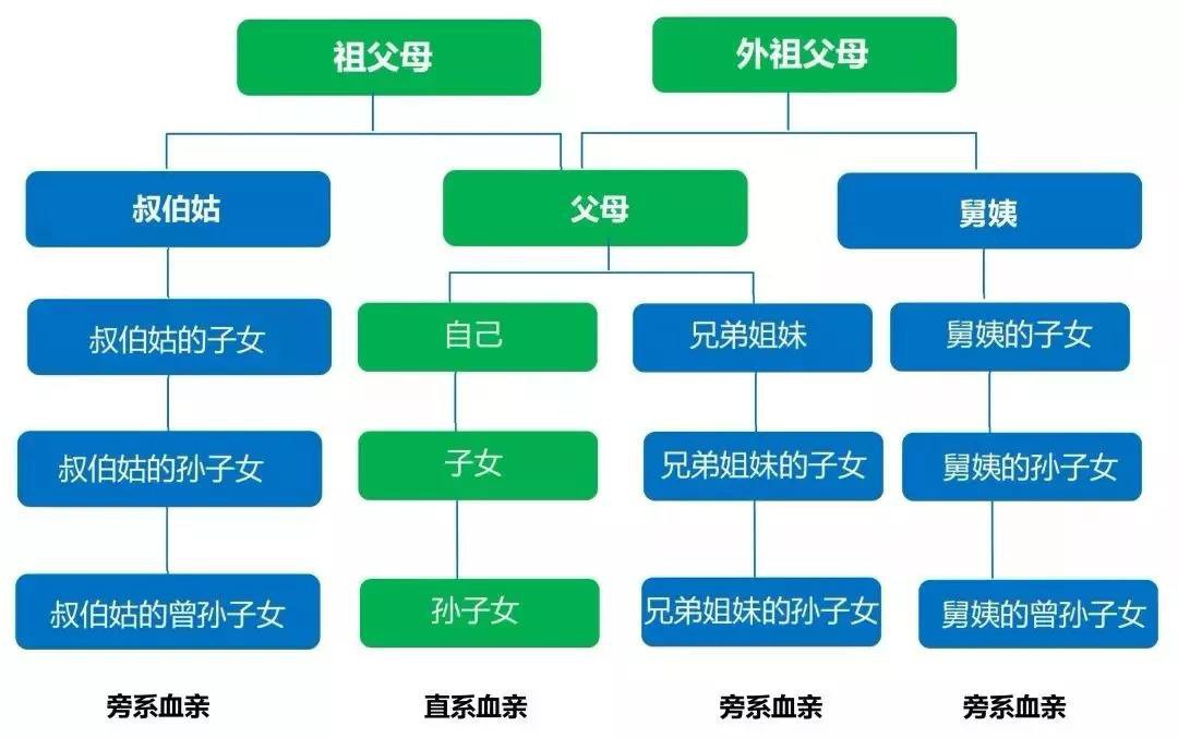 直系亲属的构成与重要性解析