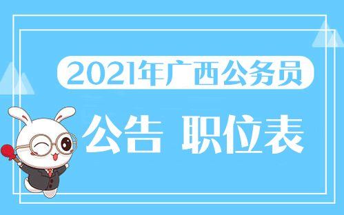 公务员考试指南 2021，迈向成功的关键步骤详解