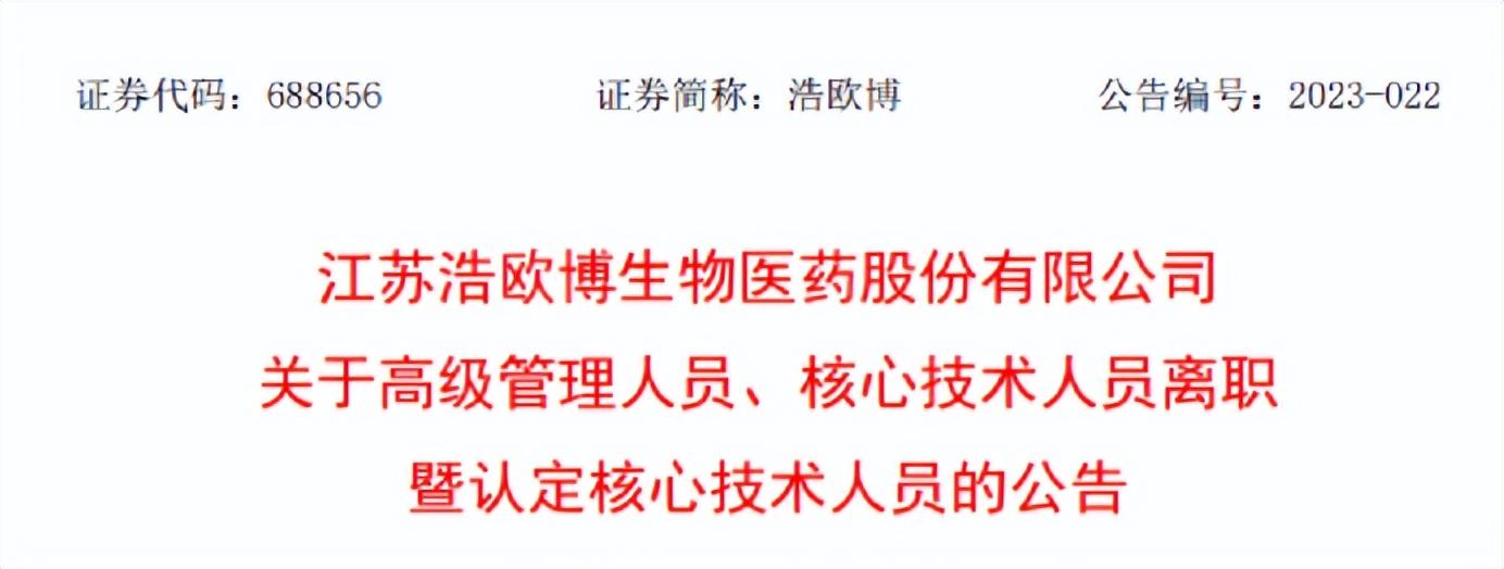 江苏省公务员大规模裁员计划，应对与挑战分析