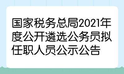 税务公务员录取名单公示，公平选拔之旅的见证