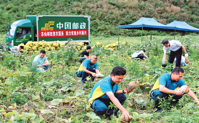 镜头下的邮政绿，山间传递的故事