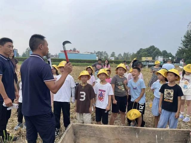 赣榆中心小学稻田课堂，研学与农耕的新探索