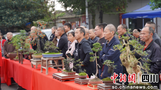 什邡，盆景中的致富之路