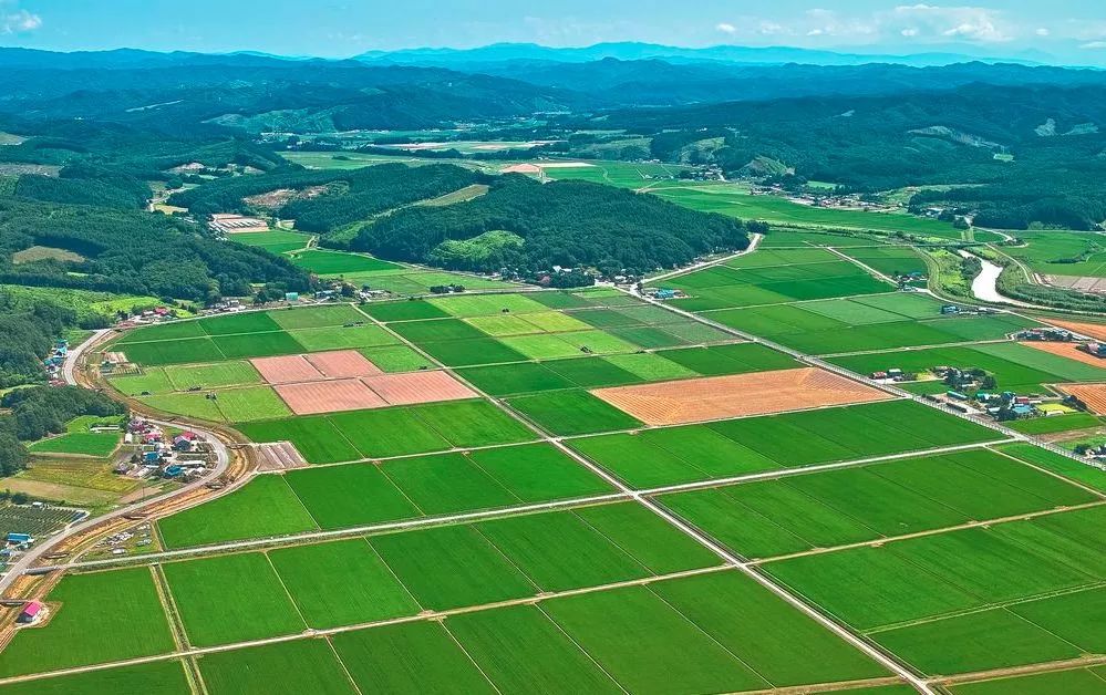 高标准农田的建成之路，让耕地成为丰收的沃土