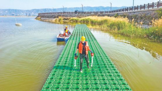 水域环境治理助力城市生态质量提升