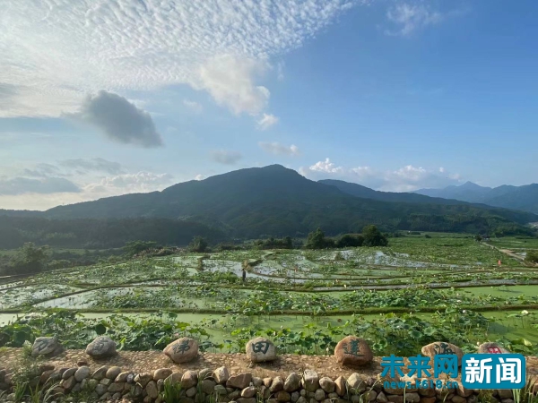 三明泰宁，菌花绽放，振兴小镇美景