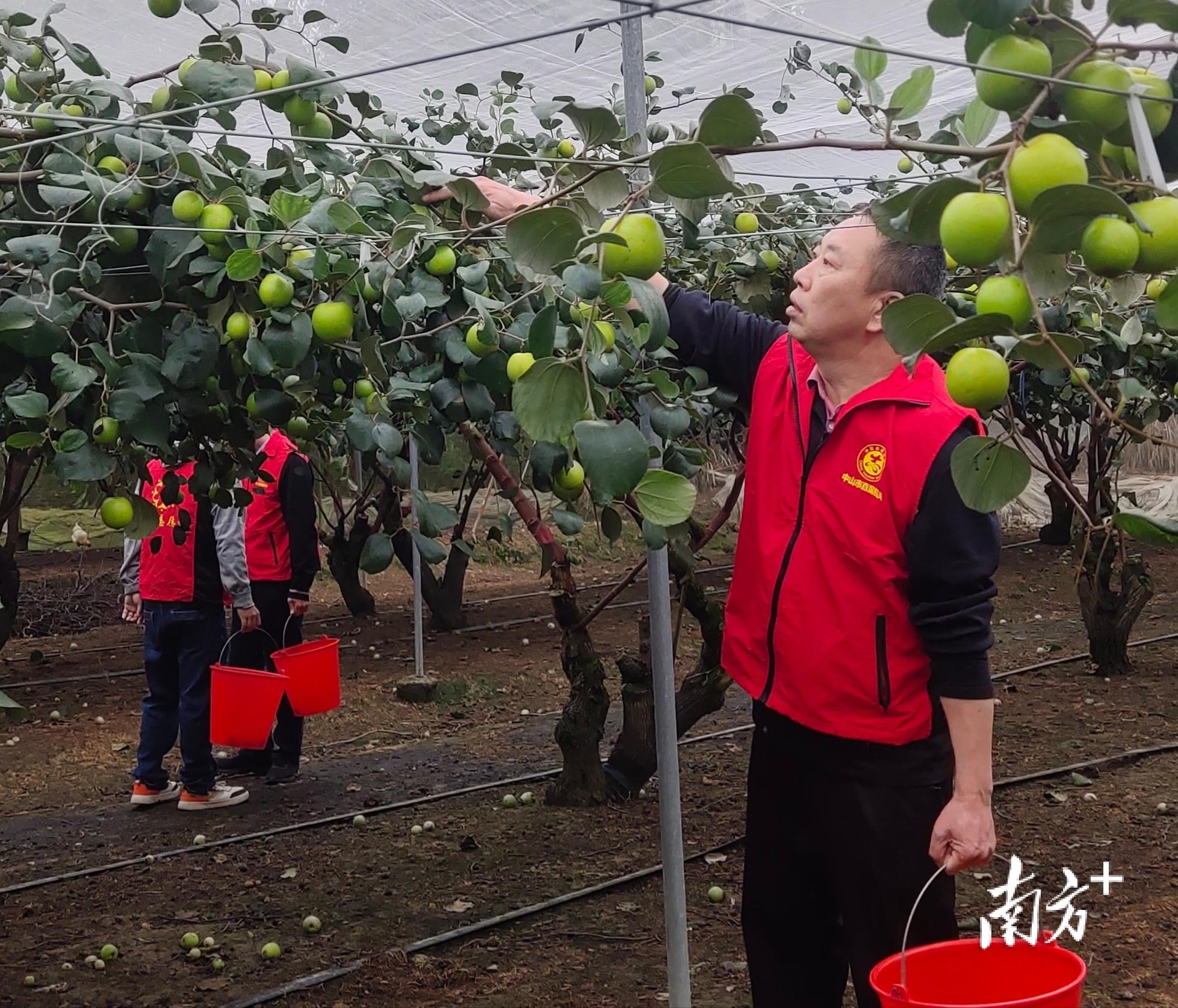 南方日报·中山观察揭秘中山经济一线热度，电商竞争与出海热潮背后的故事