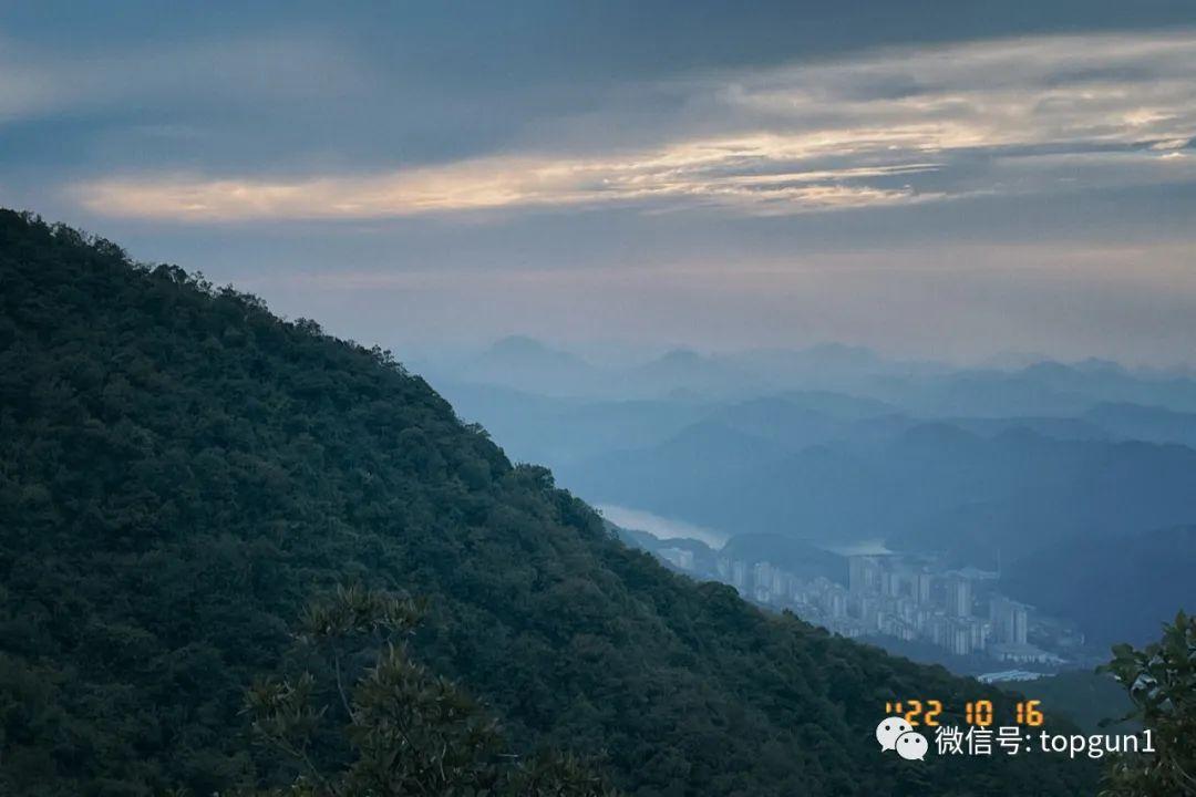 杭州小熊猫幼崽的成长之旅，五个月的期待与市民的爱护